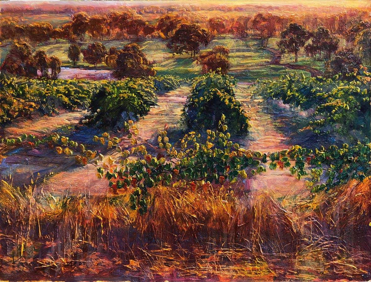 The Vintage at Margaret River by Ken Rasmussen - Oil on Board Painting